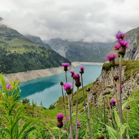 Z - Next Door To Therme 瓦尔斯