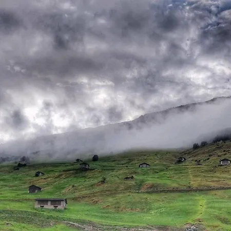 Z - Next Door To Therme