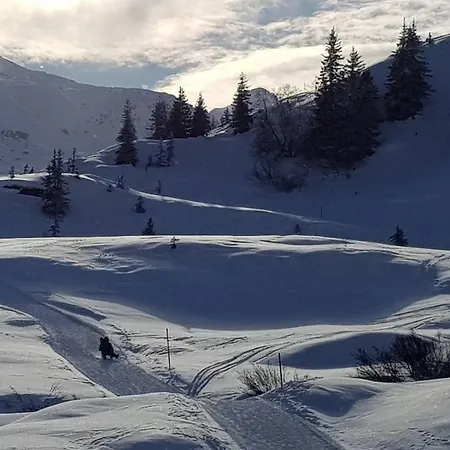 Z - Next Door To Therme 公寓