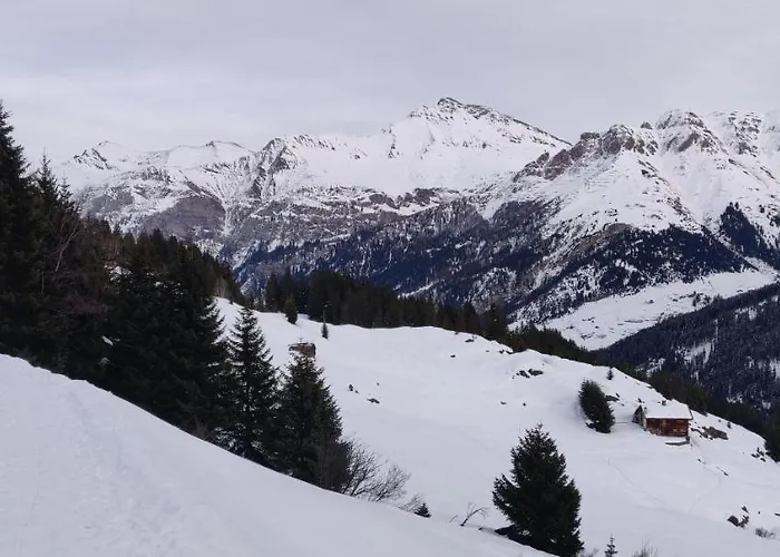 Z - Next Door To Therme *