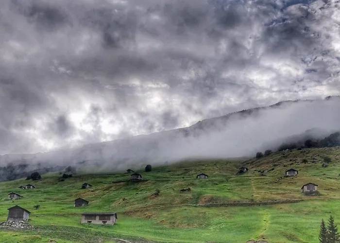 Z - Next Door To Therme