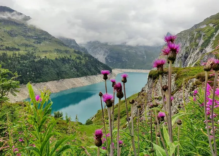 Z - Next Door To Therme Vals